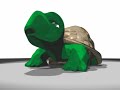 Turtle sneeze, Renderman Shading Language test
