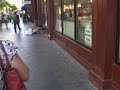 My favorite downtown musician.