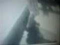 videos de skating