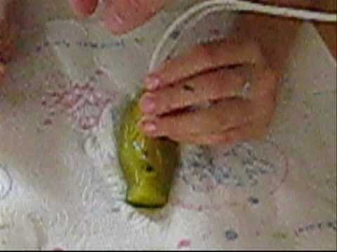 Glowing Pickle