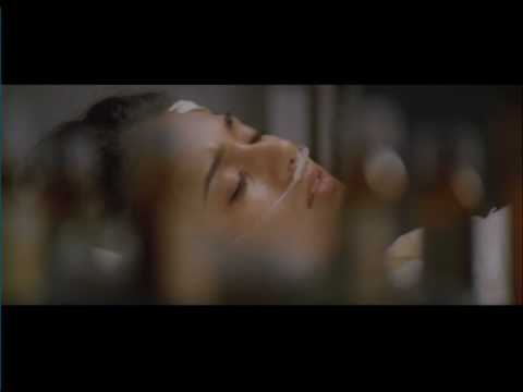 Good Vibrations Full Movie In English Good Vibrations Full Movie In English