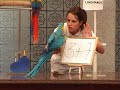 Smart Parrot calculating mathematics, clever