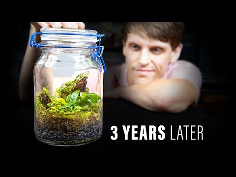 YouTube reptile video