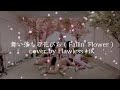 SEVENTEEN（세븐틴）— 舞い落ちる花びら （Fallin' Flower）