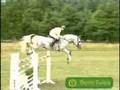 Dressage and Jumping