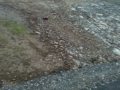 Mt Flux Brushless Off-road