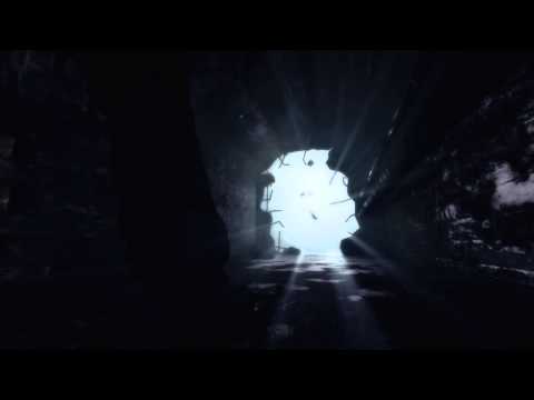 Afterfall: InSanity
