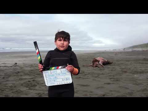 See video