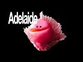 Adelaide Photonics Pitch Adelaide Photonics Pitch