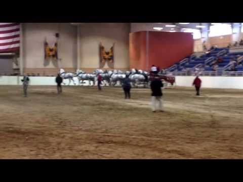 how to hitch horse hair