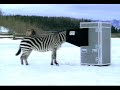 banned-commercials-nike-soccer-vs-ninjas.html