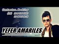 Yefer Amariles - Fotogenica ( Con Letra)