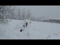 07 gennaio 2009 - Continua la nevicata anche nel pomeriggio (seconda parte)