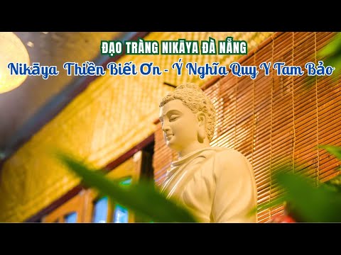 NIKAYA - Thiền Biết Ơn - Ý Nghĩa Quy Y Tam Bảo - Đạo Tràng Đà Nẵng