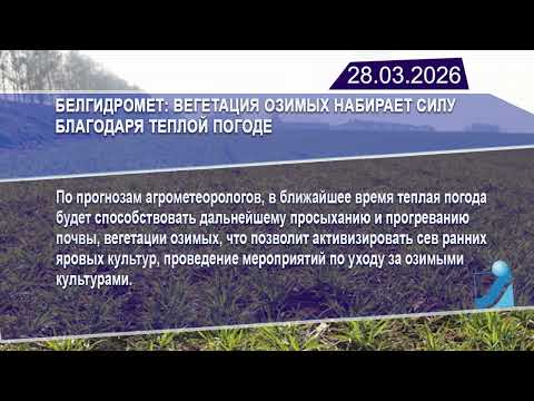 Новостная лента Телеканала Интекс 28.03.26.