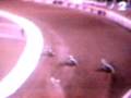 videos de T.Gollob trzeci w klasyfikacji generalej Grand Prix 2001