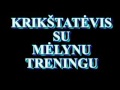 4C Simtadienio Projektas (1 dalis) 4C Simtadienio Projektas (1 dalis)