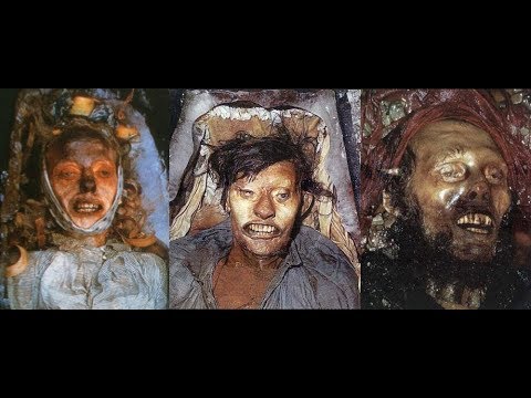 The Beechey Island Bodies