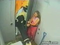 cow attack