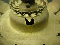 Buddhist Art! Antique a Pair of 
