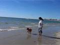 videos de mama y bb3