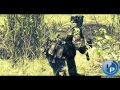 Ver Video