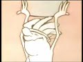 aqu� est� la m�sica que compuse para este corto de animaci�n (que ya ten�a m�sica previa, pero que en el taller de m�sica para cine de la sgae me propusieron de recomponer).
la banda sonora se grab� con la joven orquesta de la comunidad de madrid, aunque la versi�n que aqu� se oye, es la maqueta que hice en el ordenador.