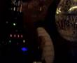 fany ktdj @ pulp