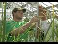 Agriculture Education at Illinois State University