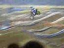 chad reed and james stewart whips