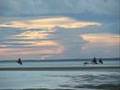 ILHA MAGNETICA