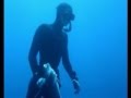 Chasse sous marine en Grèce 2004