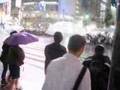 Shibuya Station Crossing