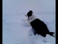 091222ジョンと雪