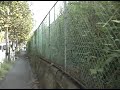 Handmade SteadiCam Test #1
