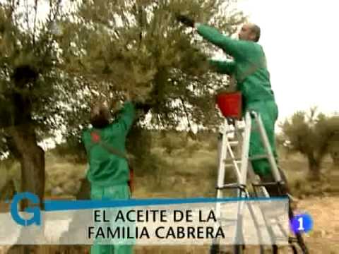 PequeOliva. Aceite de oliva virgen extra para niños. Imagen de previsualización de YouTube