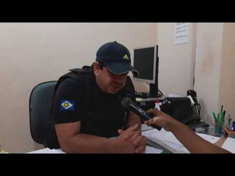 Estelionatário que comprou mais de mil cabeças de gado com cheque roubado é preso em Canarana item-thumbnail