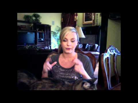 Bree Olson Charlie Sheens Goddess 0 Bree Olson Charlie Sheens Goddess
