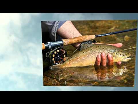 Pinnacle Peak Video Tour