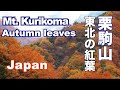 ［HD］Autumn in Japan 東北・栗駒山周辺の紅葉 紅葉便り・花の名所案内