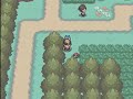Pokemon Soul SIlver Starter Only Solo Run: Phase 2