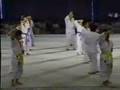 1990 Okinawan Karate ~ Kobudo Festival #6