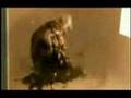 cell phone monster in the microwave
