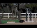 Zevon-Cavalier Farms