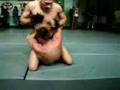 Akademia Sarmatia HL from amateur MMA turnament
