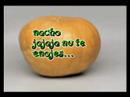 nachoz el vegetalito nachoz el vegetalito