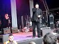 Elbow - Starlings - Delamere Forest 140608