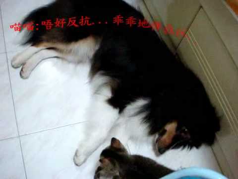 See video