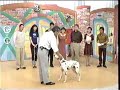さとう珠緒 Tamao Sato meets Momo the trained Dalmation
