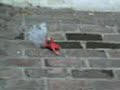 No al porro No al porro